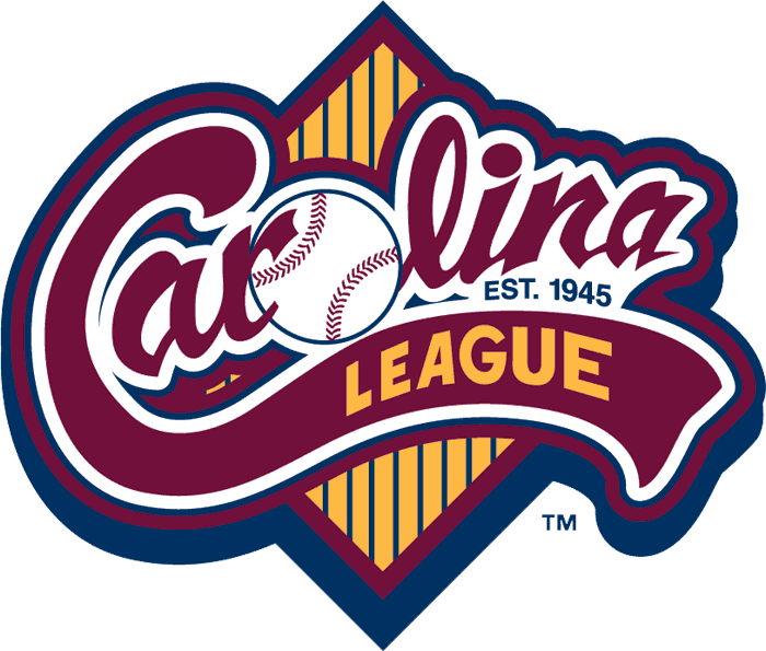 Carolina League 1995-Pres Primary Logo iron on paper